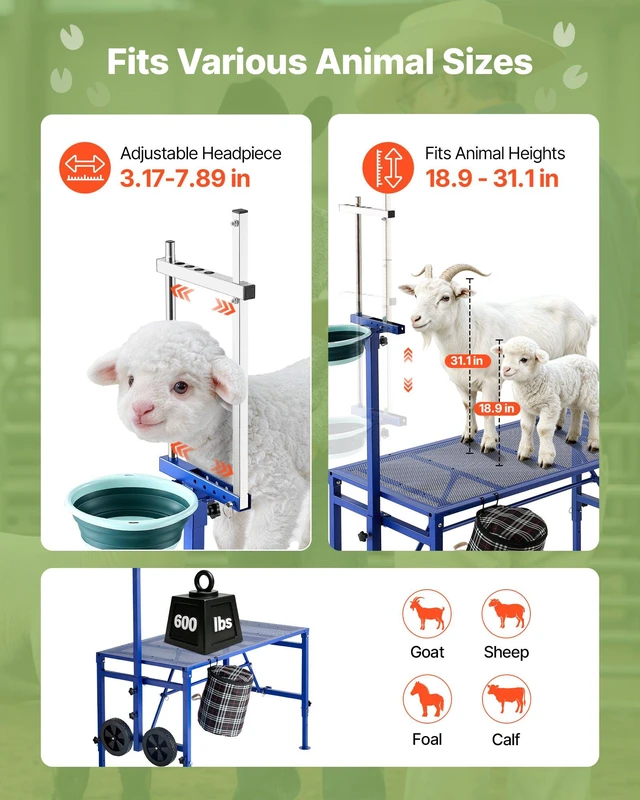 Alt view image 4 of 8 - VEVOR Goat Milking Stand, 600 lbs Heavy Duty Foldable Goat Stand with Feed Bin & Wheels, Adjustable Headpiece & Tool Basket, Stanchion for Grooming & Hoof Trimming, Metal Livestock Platform for Sheep