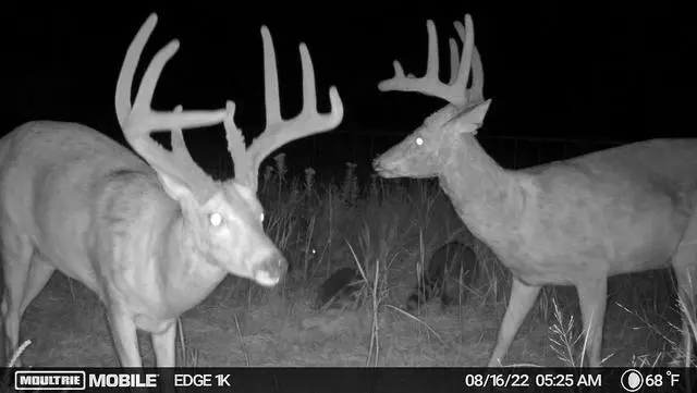 Alt view image 7 of 7 - Moultrie Edge Cellular Trail Camera - 2-Pack, 33MP
