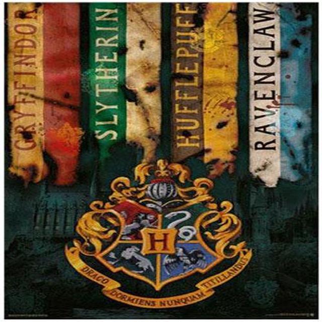 HARRY POTTER - House Flags Poster