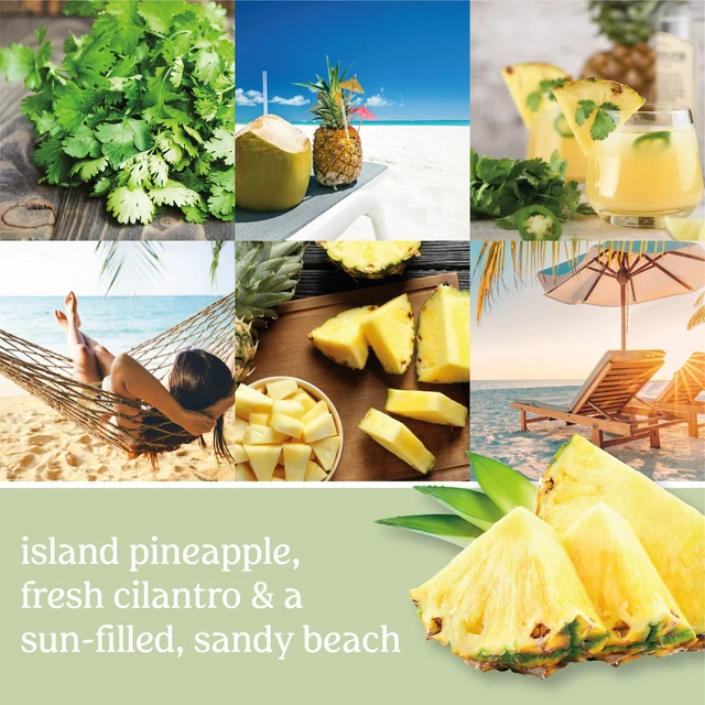 Alt view image 2 of 5 - Yankee Candle Pineapple Cilantro Scented Classic 22oz Large Jar Single Wick Candle Over 110 Hours of Burn Time
