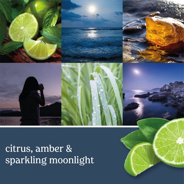 Alt view image 2 of 3 - Yankee Candle Moonlit Cove Scented, Classic 22oz Large Jar Single Wick Candle, Over 110 Hours of Burn Time