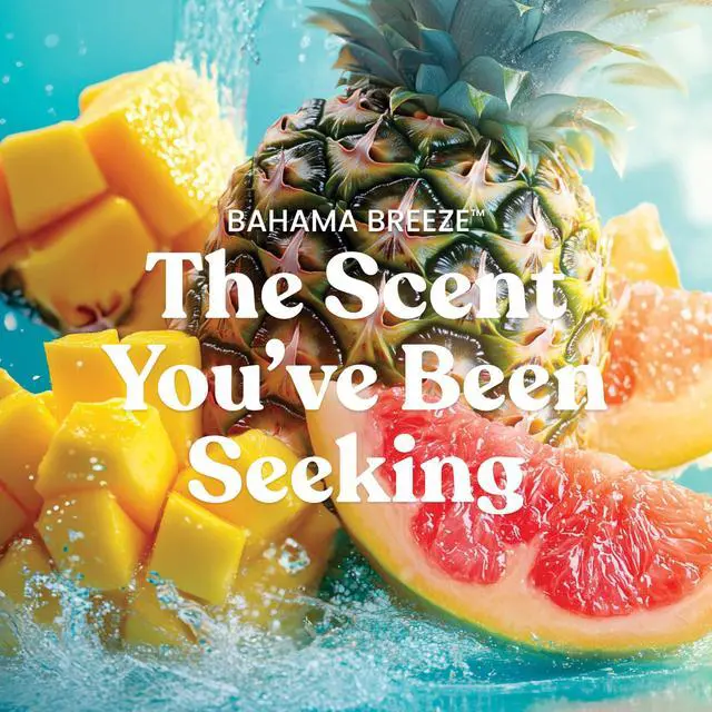 Alt view image 2 of 7 - Yankee Candle Coconut Beach Scented Signature 20oz Large Jar 2-Wick Candle Over 60 Hours of Burn Time
