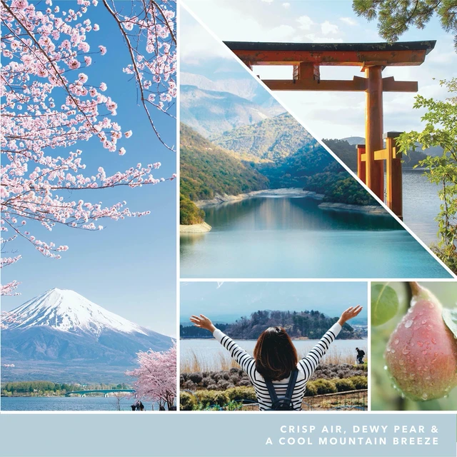 Alt view image 6 of 6 - Yankee Candle Majestic Mt. Fuji Large Jar CandleLight Blue Coconut Scent