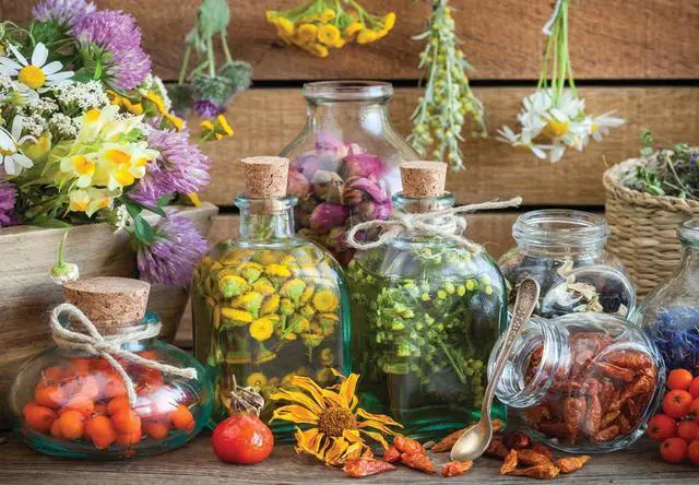 Alt view image 2 of 7 - Anatolian Puzzle - Herbal Therapy, 500 Piece Jigsaw Puzzle, #3621