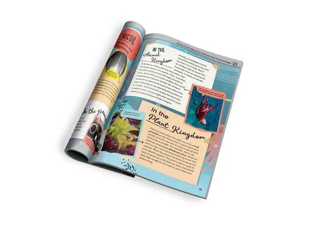 Alt view image 7 of 7 - Thames & Kosmos Water Power STEM Experiment Kit | Build Your Own Rocket-Propelled Cars, Boats, and More! | Explore Physics of Air & Water, Pneumatics | 6 Models | Full-Color Manual & Experiment Guide