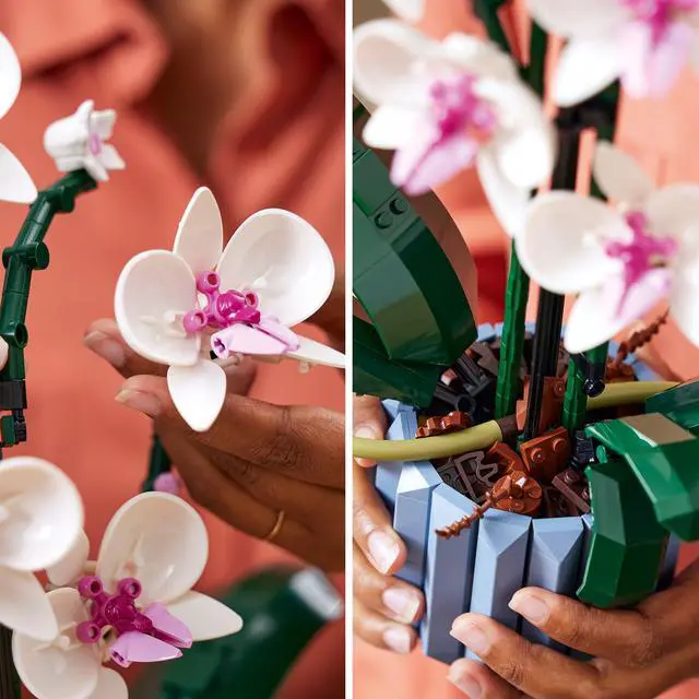 Alt view image 2 of 6 - LEGO Icons Orchid 10311 Artificial Plant Building Set with Flowers, Home Décor Accessory for Adults, Botanical Collection, Mother's Day Gift Idea, Anniversary Gift for Her and Him