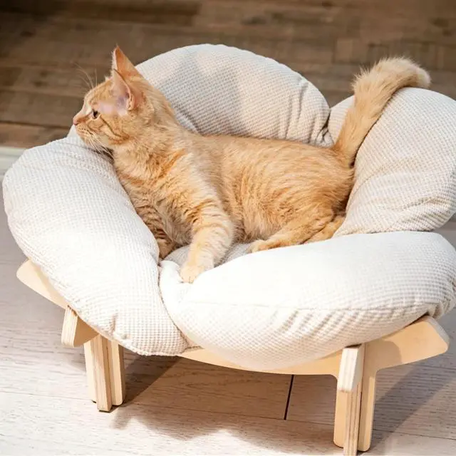 Main image of Minimalist Wooden Cat Bed with Stand, Sturdy Elevated Cat Furniture Frame, Breathable Comfortable Indoor Cat Sleeping Perch