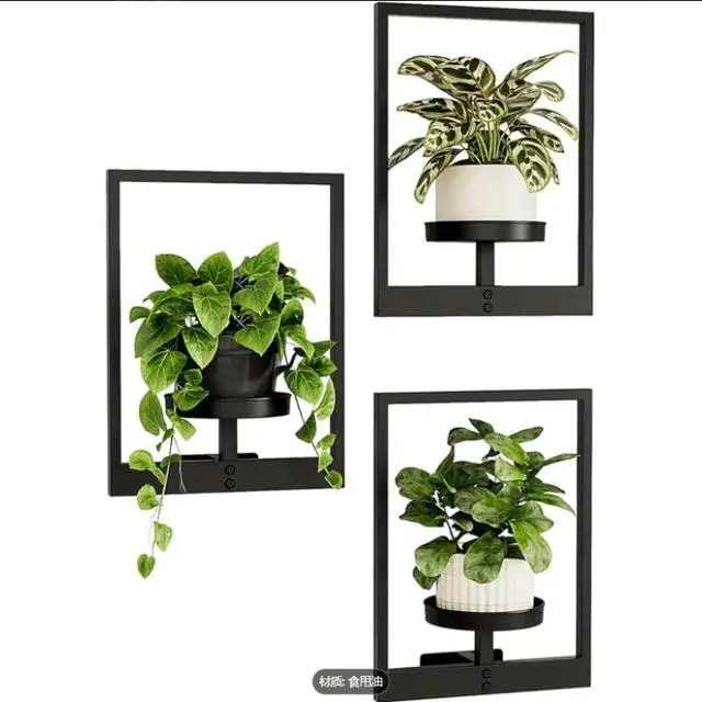 Alt view image 2 of 7 - 3Pack WallMounted PictureFrame Plant Holder, Metal Wall Planter Shelf, Decorative Wall Flower Pot Rack for Indoor Houseplants