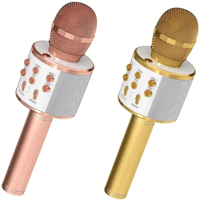 Main image of 5 Core Microphone Wireless Karaoke Mic With Speaker 3 in 1 Portable Bluetooth Microfono Inalambrico WM SPK COPPER+GLD