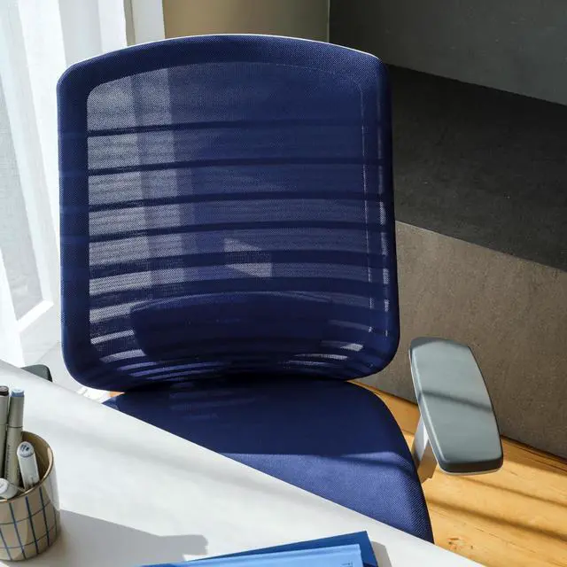 Alt view image 5 of 7 - Branch Ergonomic Chair - A Versatile Desk Chair with Adjustable Lumbar Support, Breathable Mesh Backrest, and Smooth Wheels - Experience Optimal Comfort and Support - Baltic