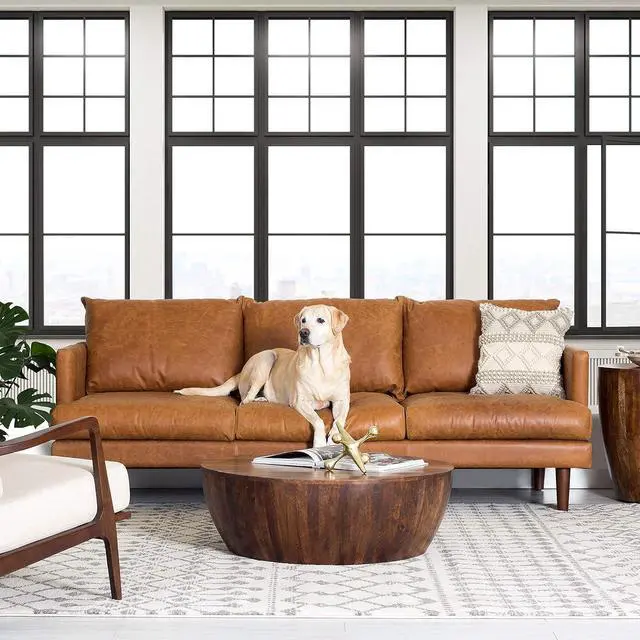 Alt view image 7 of 7 - POLY & BARK Goa Coffee Table, Walnut