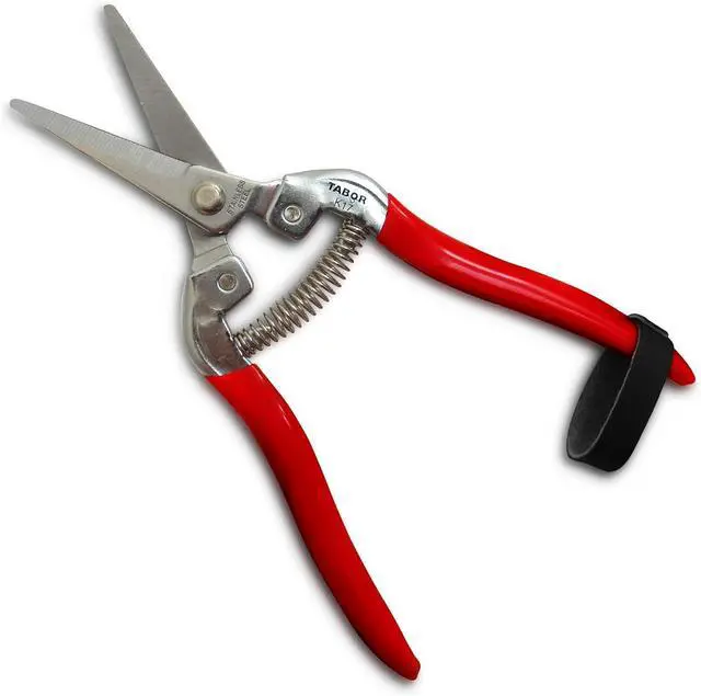Main image of TABOR TOOLS Pruning Shears, Florist Scissors, Multi-Tasking Garden Snips for Arranging Flowers, Trimming Plants and Harvesting Herbs, Fruits or Vegetables. K17A. (Straight, Stainless Steel Blades)