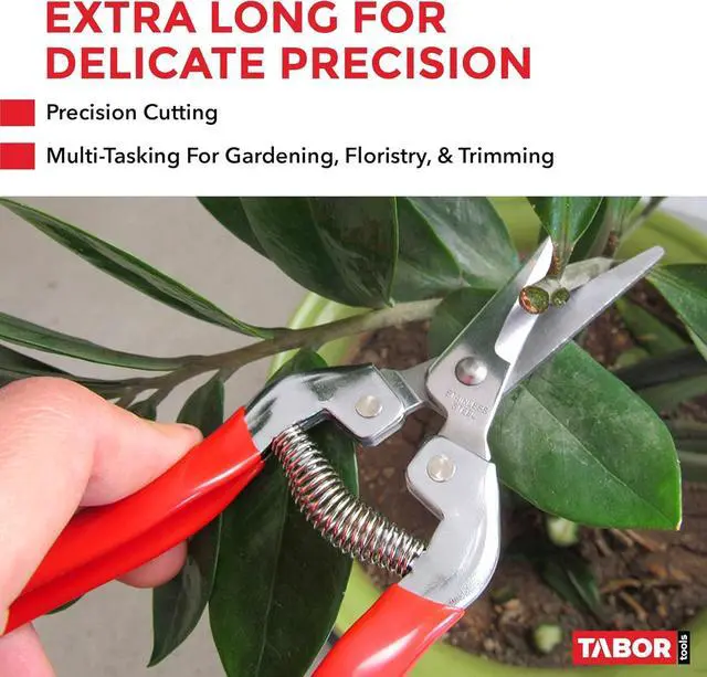 Alt view image 2 of 6 - TABOR TOOLS Pruning Shears, Florist Scissors, Multi-Tasking Garden Snips for Arranging Flowers, Trimming Plants and Harvesting Herbs, Fruits or Vegetables. K17A. (Straight, Stainless Steel Blades)