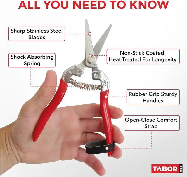 Alt view image 4 of 6 - TABOR TOOLS Pruning Shears, Florist Scissors, Multi-Tasking Garden Snips for Arranging Flowers, Trimming Plants and Harvesting Herbs, Fruits or Vegetables. K17A. (Straight, Stainless Steel Blades)
