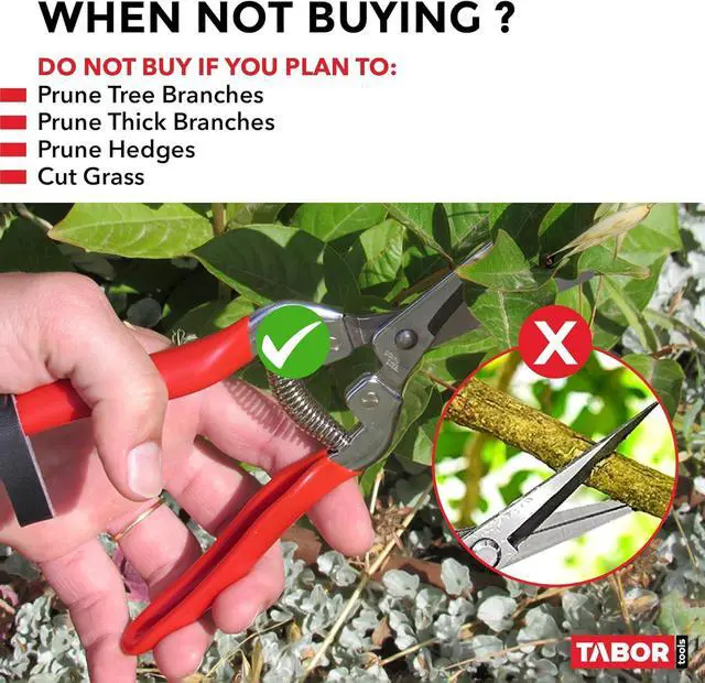 Alt view image 5 of 6 - TABOR TOOLS Pruning Shears, Florist Scissors, Multi-Tasking Garden Snips for Arranging Flowers, Trimming Plants and Harvesting Herbs, Fruits or Vegetables. K17A. (Straight, Stainless Steel Blades)