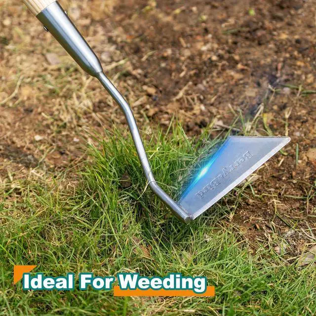 Alt view image 5 of 6 - Berry&Bird Swoe Garden Hoe, 61.8'' Stainless Steel Long Handled 3 Edge Hoe with Wooden Hand, Mini Angled/Warren Hoe, Soil Cultivator Weeding Tool for Grass Flower Backyard