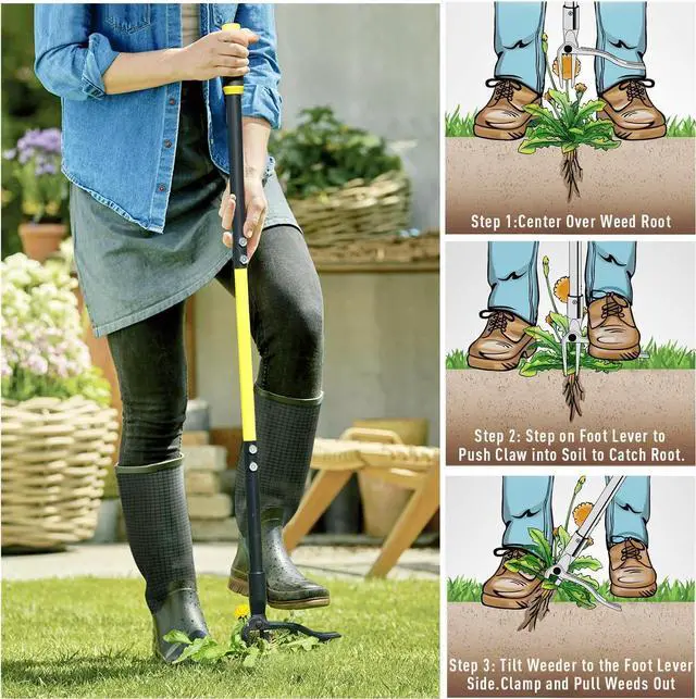 Alt view image 7 of 7 - Jardineer 45" Stand Up Weeder Puller Tool, Weed Remover Tool with Long Handle, Weeding Tools Gardening Heavy Duty with 4 Claw Steel Head