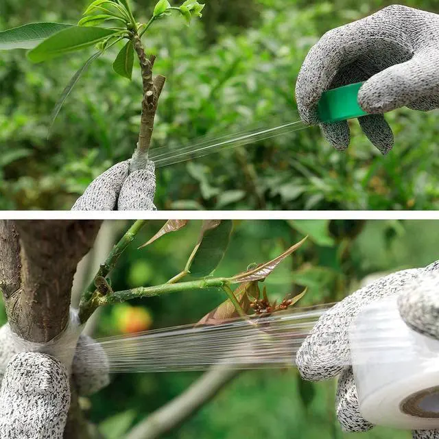 Alt view image 5 of 7 - Professional Grafting Tool Kit - 3-in-1 Pruner with SK5 Blades, Grafting Knife, Tapes, Labels & Clips - Fruit Tree Grafting Supplies for Apples, Peaches, Grapes (Gardening Grafting Tools)