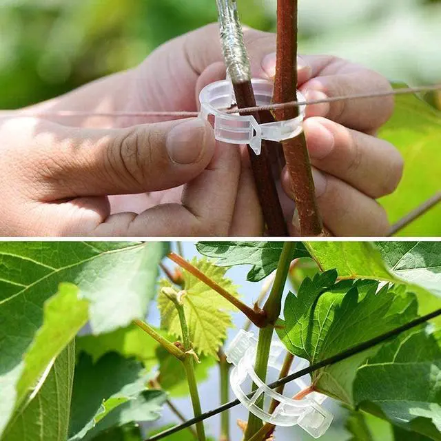 Alt view image 6 of 7 - Professional Grafting Tool Kit - 3-in-1 Pruner with SK5 Blades, Grafting Knife, Tapes, Labels & Clips - Fruit Tree Grafting Supplies for Apples, Peaches, Grapes (Gardening Grafting Tools)