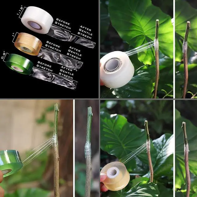 Alt view image 5 of 6 - [6 Blades Enhanced] NAYE 2 in 1 Garden Grafting Tool Kit for Fruit Trees with Grafting Knife Grafting Tapes,Extra Replacement Blades Included,Professional Grafting Scissor Shear