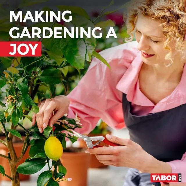 Alt view image 6 of 6 - TABOR TOOLS Pruning Shears, Florist Scissors, Multi-Tasking Garden Snips for Arranging Flowers, Trimming Plants and Harvesting Herbs, Fruits or Vegetables. K17A. (Straight, Stainless Steel Blades)
