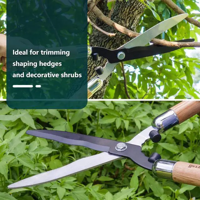 Alt view image 6 of 7 - Berry&Bird Garden Hedge Shears,19.88''Heavy Duty Pruning Shear for Trimming Borders and Bushes, Manual Hedge Clippers with Wooden Handles & Carbon Steel Sharp Blades Gardening Scissors