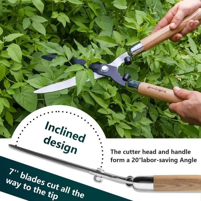 Alt view image 7 of 7 - Berry&Bird Garden Hedge Shears,19.88''Heavy Duty Pruning Shear for Trimming Borders and Bushes, Manual Hedge Clippers with Wooden Handles & Carbon Steel Sharp Blades Gardening Scissors