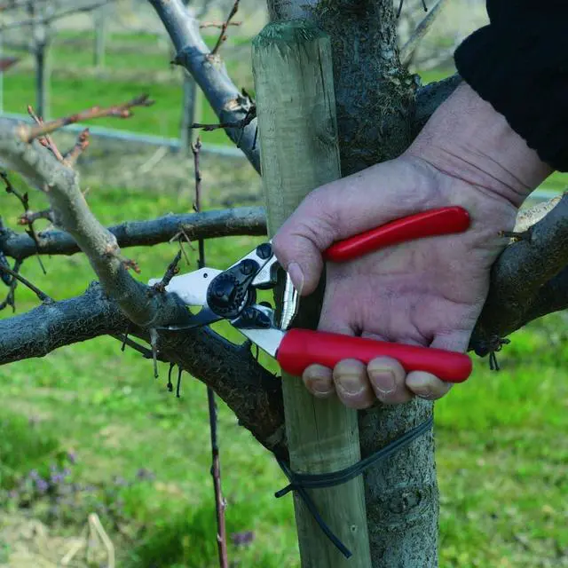 Alt view image 2 of 7 - Felco Pruning Shears (F 6) - High Performance Swiss Made One-Hand Garden Pruners - 100052385