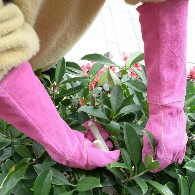 Alt view image 2 of 7 - HANDLANDY Ladies Thorn Proof Gardening Gloves, Long Gauntlet Heavy Duty Garden Gloves, Elbow Length Women Leather Rose Pruning Gloves (Large, Rosy)