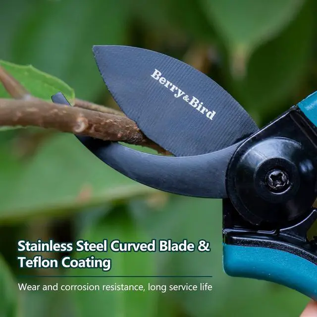 Alt view image 3 of 6 - Berry&Bird Garden Clippers, Pruning Scissors with Stainless Steel Teflon Coating Blades and Handle, Plant Clippers Work 3 Times Easier with Spring, Garden Shears for Trimming Rose, Small Stem, Bonsai
