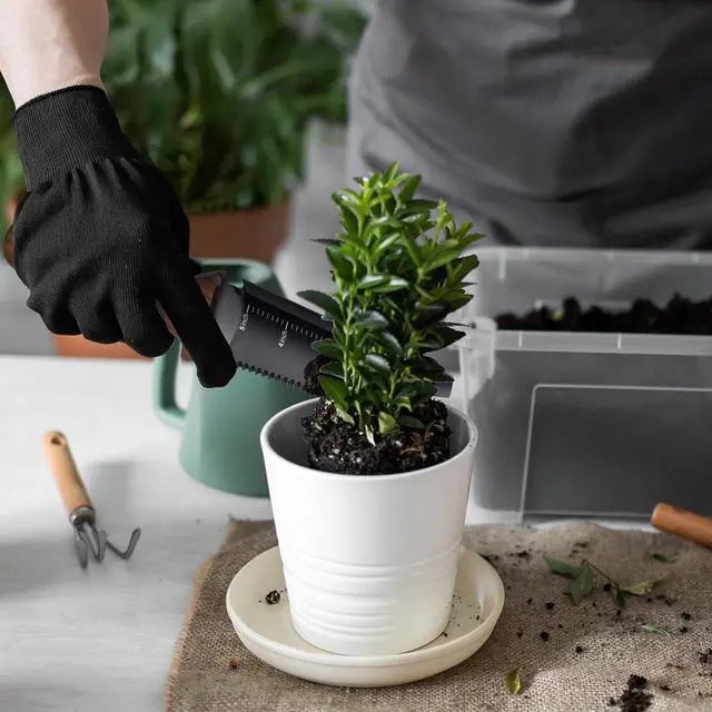 Alt view image 2 of 7 - Hori Hori Garden Knife, Garden Tools with Sheath, 6" Stainless Steel Blade with Cutting Edge, Full-Tang Walnut Ergonomic Wood Handle with Hanging Hole, Weeding, Planting, Digging