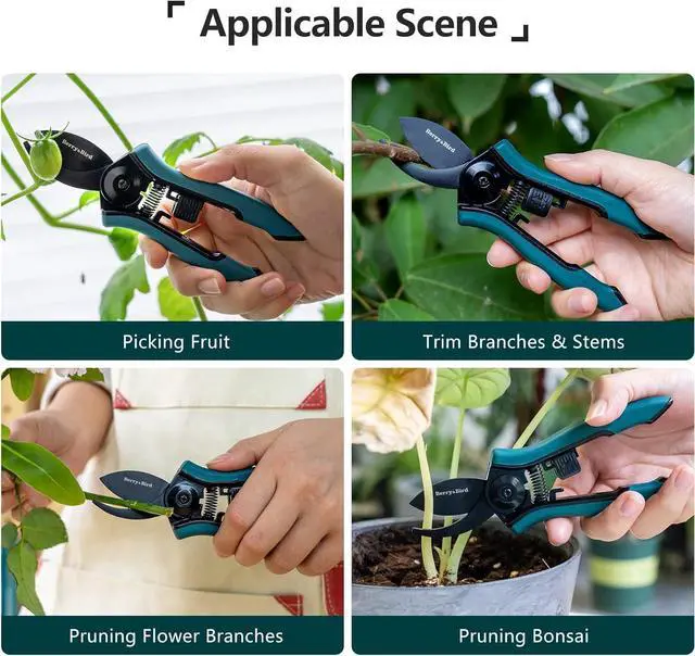 Alt view image 5 of 6 - Berry&Bird Garden Clippers, Pruning Scissors with Stainless Steel Teflon Coating Blades and Handle, Plant Clippers Work 3 Times Easier with Spring, Garden Shears for Trimming Rose, Small Stem, Bonsai