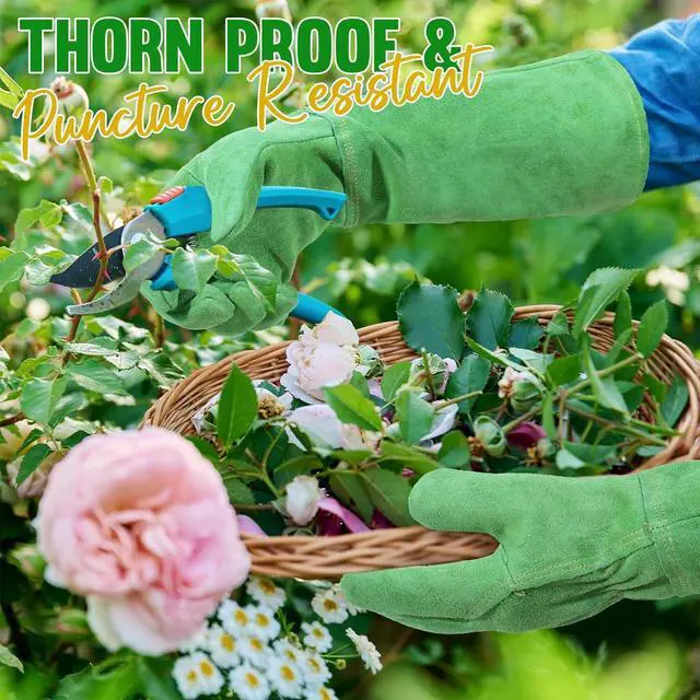 Alt view image 3 of 7 - HANDLANDY Ladies Leather Gardening Gloves, Thorn Proof Long Gauntlet Heavy Duty Garden Gloves, Elbow Length Women Rose Pruning Gloves (Medium, Green)