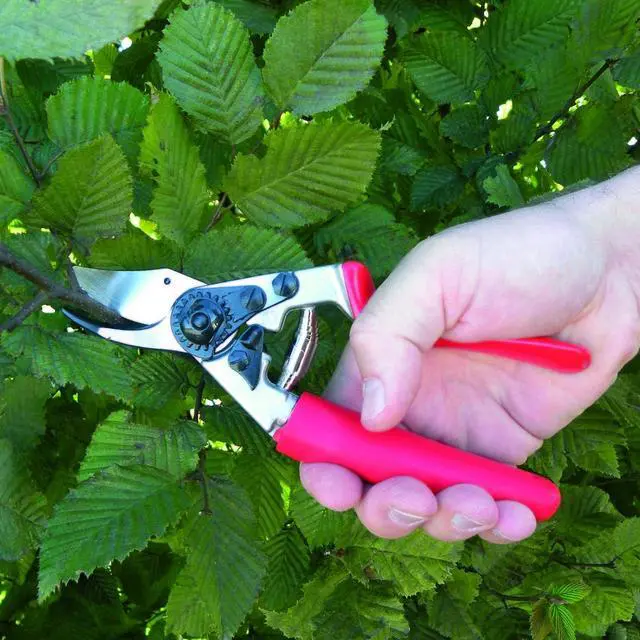 Alt view image 2 of 7 - Felco Pruning Shears (F 12) - High Performance Swiss Made One-Hand Garden Pruner with Steel Blade