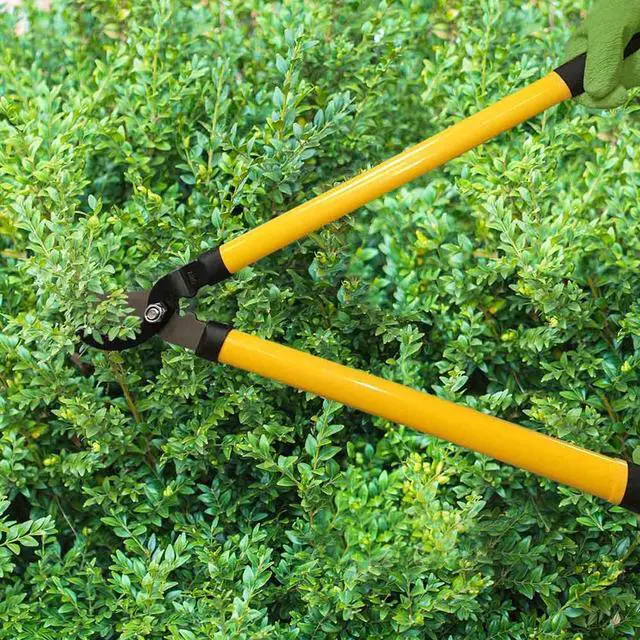 Alt view image 2 of 7 - Centurion 1222 3-Piece Lopper, Hedge Shear & Pruner Combo Set, Heavy Duty Tree, Shrub & Bush Care Kit for Lawn, Garden & Yard, Ideal for Indoor & Outdoor Gardening, Branch Cutting & Plant Trimming