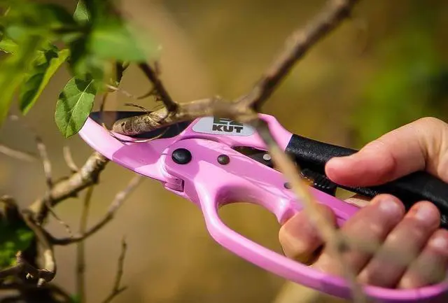 Alt view image 6 of 6 - EZ Kut Heavy Duty Pruners Ratchet Hand Pruner with Ratcheting Action Great Garden Hand Tool Clippers Gardening pruners arthritis tools Ratcheting Anvil Hand Pruner Pruning Shears Heavy Duty Since 1988