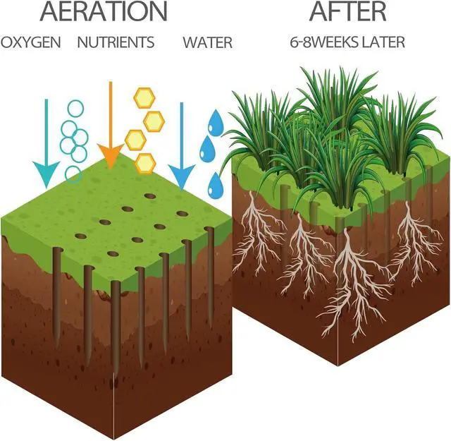 Alt view image 5 of 7 - Walensee Lawn Aerator Spike Metal Manual Dethatching Soil Aerating Lawn with 15 Iron Spikes, Pre-Assembled Grass Aerator Tools for Yard, Lawn Aeration, Garden Tool, Revives Lawn Health, Patented