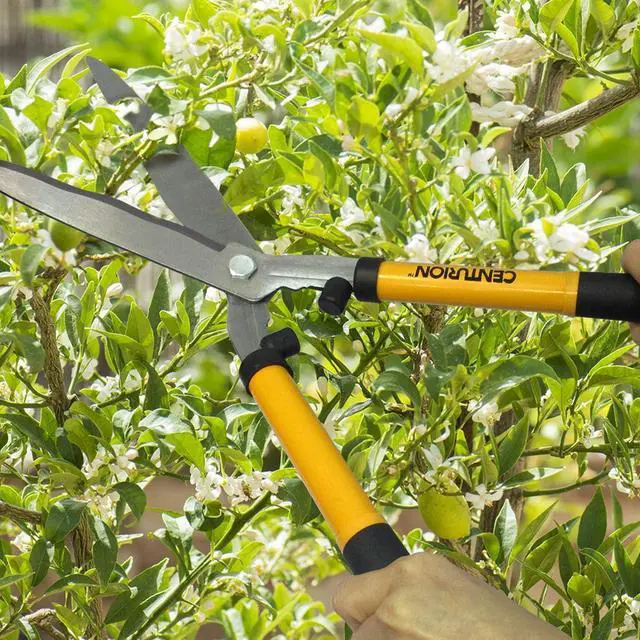 Alt view image 6 of 7 - Centurion 1222 3-Piece Lopper, Hedge Shear & Pruner Combo Set, Heavy Duty Tree, Shrub & Bush Care Kit for Lawn, Garden & Yard, Ideal for Indoor & Outdoor Gardening, Branch Cutting & Plant Trimming