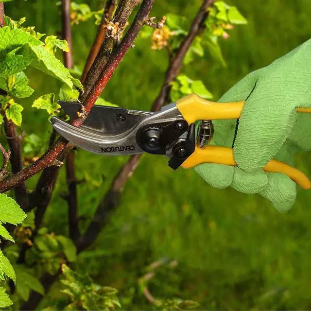 Alt view image 7 of 7 - Centurion 1222 3-Piece Lopper, Hedge Shear & Pruner Combo Set, Heavy Duty Tree, Shrub & Bush Care Kit for Lawn, Garden & Yard, Ideal for Indoor & Outdoor Gardening, Branch Cutting & Plant Trimming