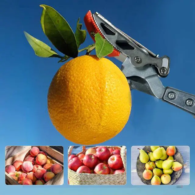 Alt view image 6 of 7 - GARTOL Pruner for Garden, Cut Upto 1 Inch & Hold Telescopic Pole Pruner, Fruit Picker with Rotating Blade Head, Lightweight Aluminum Extendable Handle for Tree Branch Cutter, 3.67-5.45 FT, Silver