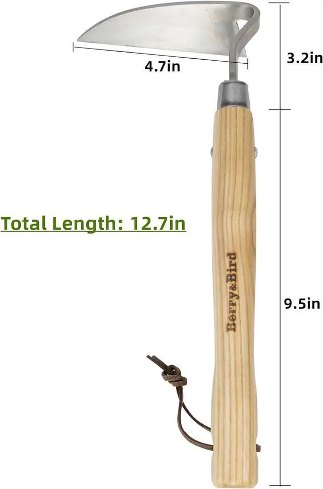 Alt view image 3 of 7 - Berry&Bird Japanese Weeder-Scraper-Hoe, 12.67-Inch Gardening Sickle Hoe, Stainless Steel Bent Angle Weeding Sickle, Weeder Hoe with Ergonomic Ash Wood Handle for Weeding, Soil loosening, Digging