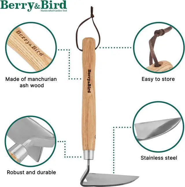 Alt view image 6 of 7 - Berry&Bird Japanese Weeder-Scraper-Hoe, 12.67-Inch Gardening Sickle Hoe, Stainless Steel Bent Angle Weeding Sickle, Weeder Hoe with Ergonomic Ash Wood Handle for Weeding, Soil loosening, Digging
