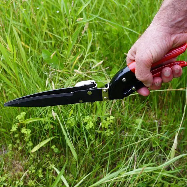 Alt view image 7 of 7 - Kings County Tools Grass Trimming Shears | 5-1/4 Steel Blades | Rotating Handle for Angled Cuts | Strong Spring Mechanism | Simple & Secure Safety Lock | Made in Italy