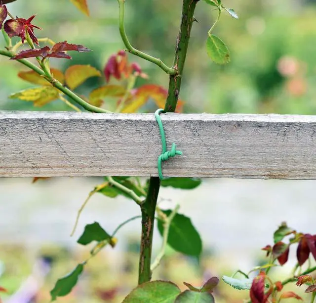Alt view image 2 of 7 - Soft Twist Tie Garden Plant Ties for Vines Tomatoes Heavy Duty Thick Soft Ties 5 mm (250 feet)