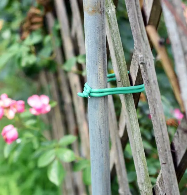 Alt view image 6 of 7 - Soft Twist Tie Garden Plant Ties for Vines Tomatoes Heavy Duty Thick Soft Ties 5 mm (250 feet)