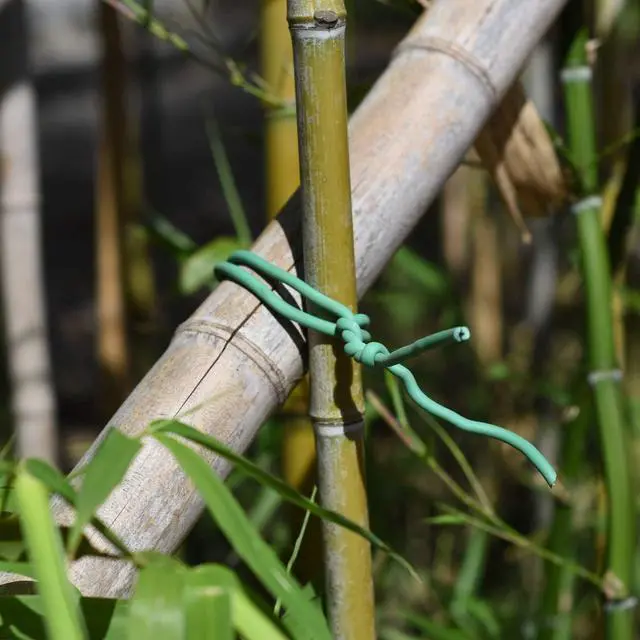 Alt view image 7 of 7 - Soft Twist Tie Garden Plant Ties for Vines Tomatoes Heavy Duty Thick Soft Ties 5 mm (250 feet)