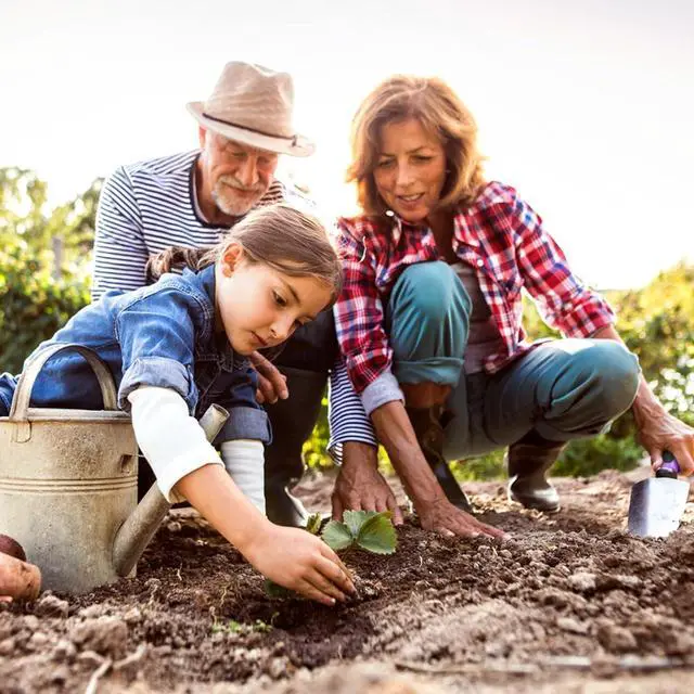 Alt view image 2 of 7 - Covacure Gardening Tool Set - 11 Piece Aluminum Alloy Steel Hand Tool Starter Kit with Garden Bag, Outdoor Tool, Heavy Duty Gardening Work Set, Gardening Tools Gift for Women and Men