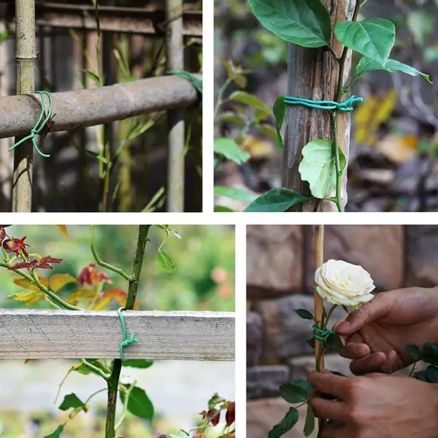 Alt view image 4 of 6 - Green Soft Twist Tie Tomato Plant Tie TPR Garden Supply, for Supporting Plants and Home Organizing (65.6 feet/20 Meters)