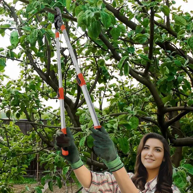 Alt view image 7 of 7 - THANOS B1102 Extendable Anvil Loppers Tree Trimmer with Compound Action,Chops Thick Branch Ease,27-41''Telescopic Heavy Duty Branch Cutter,2 inch Clean Cut Capacity