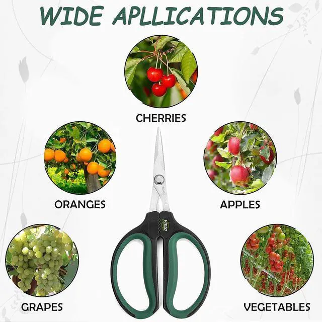Alt view image 7 of 7 - Hydroponic 2-Pack Bonsai Scissors and Plant Trimming Shears Set - Stainless Steel Pruning Shears for Indoor Gardening, Succulent Harvest, and Precision Plant Care